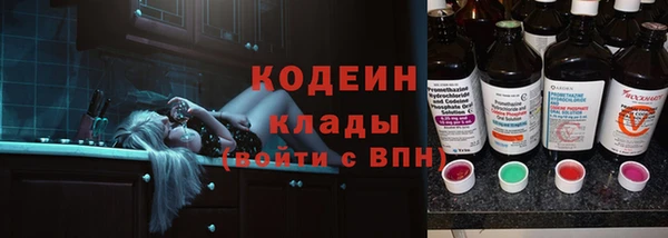 индика Наволоки