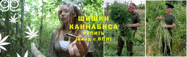тгк Навашино
