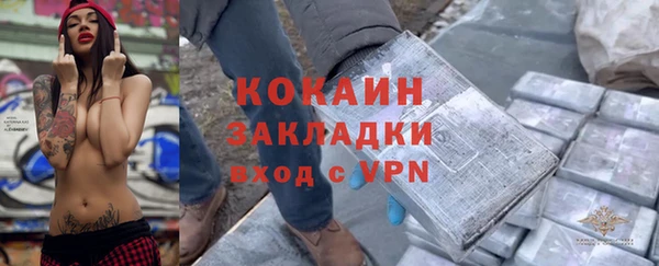 индика Наволоки
