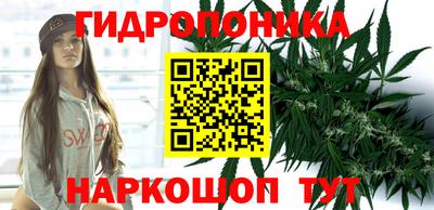 стаф Лесосибирск