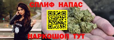 стаф Лесосибирск